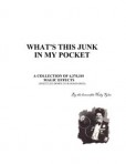 What’s This Junk In My Pocket – PDF