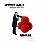 Sponge Balls – PDF